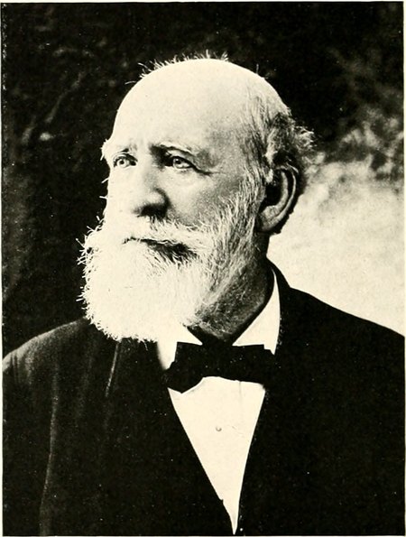Portrait of Alpheus M. Stetson, Successful Vermonters (1904): Caledonia, Essex and Orleans counties, biography, 1904